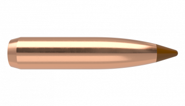 Nosler Balistic Tip 26140 Bullet